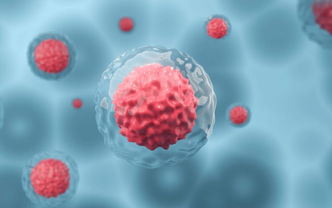 What is an Endometrial Receptivity Score?