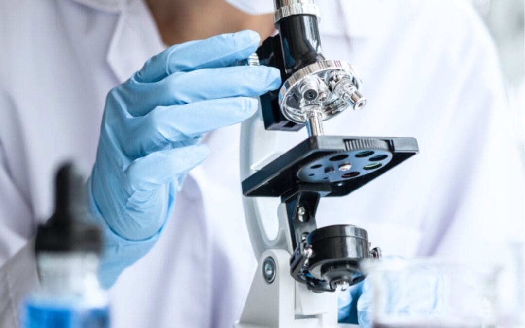 Endometrial Receptivity: Signs You’re Ready For Embryo Transfer