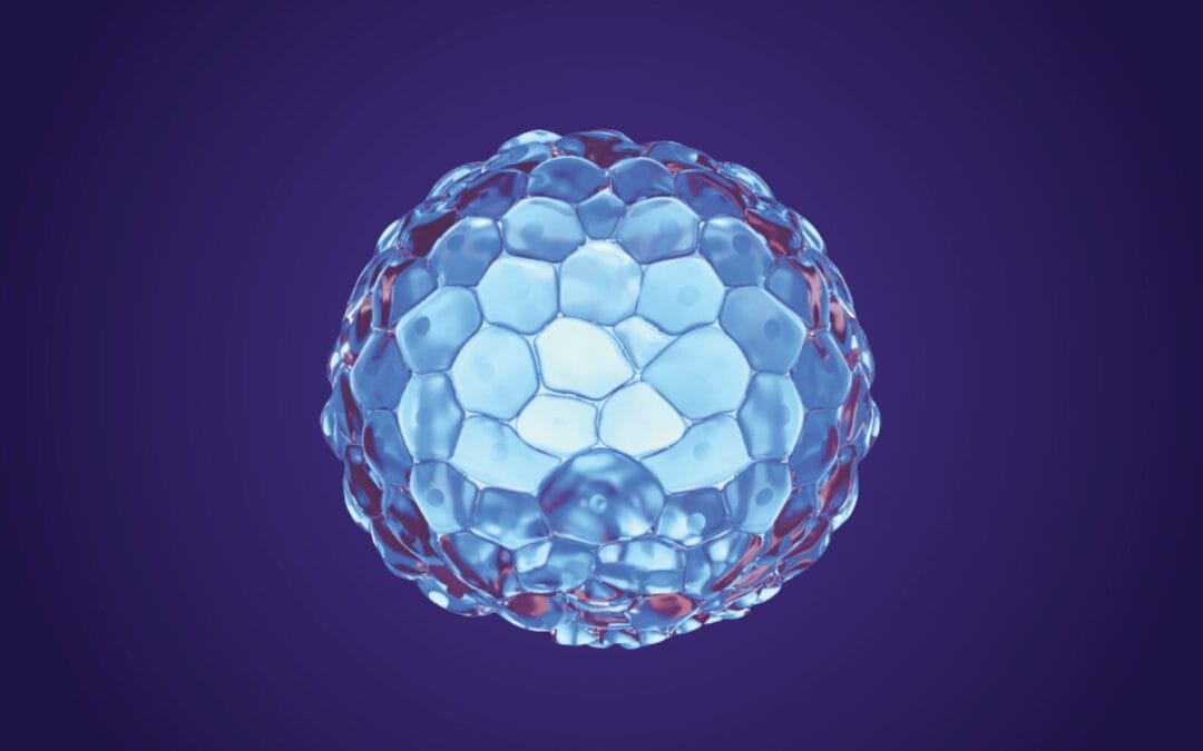 Embryo Transfer Readiness: Using AIM Technology